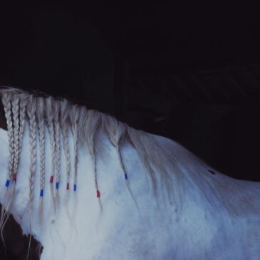 丙午は６０年に一度なんですね