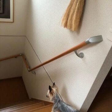 骨折その後・・・